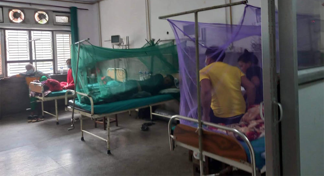 Dengue Treatment 11661692708.jpg